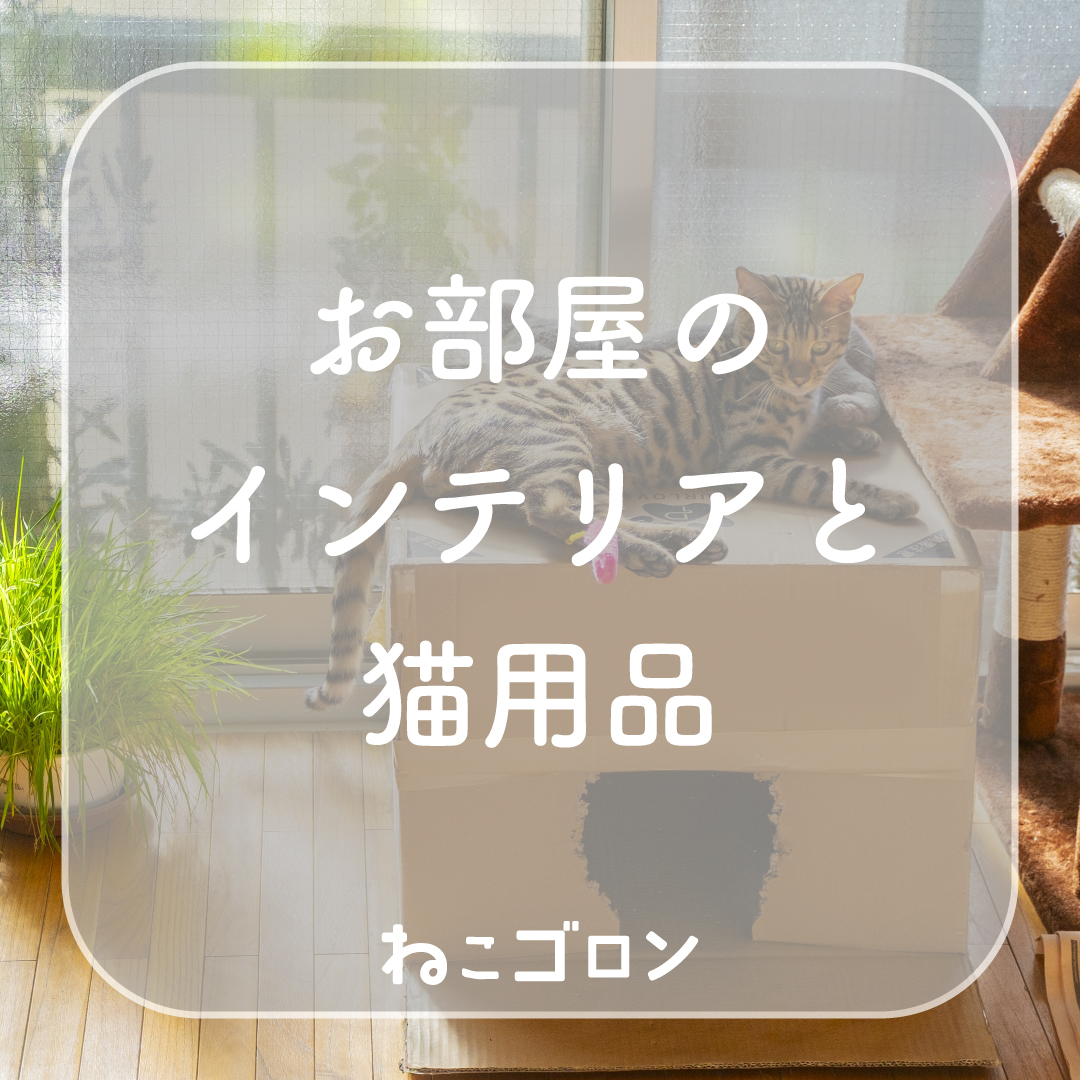 猫用品が部屋で浮く…を防ぐ。インテリアになじむ猫の居場所づくり
